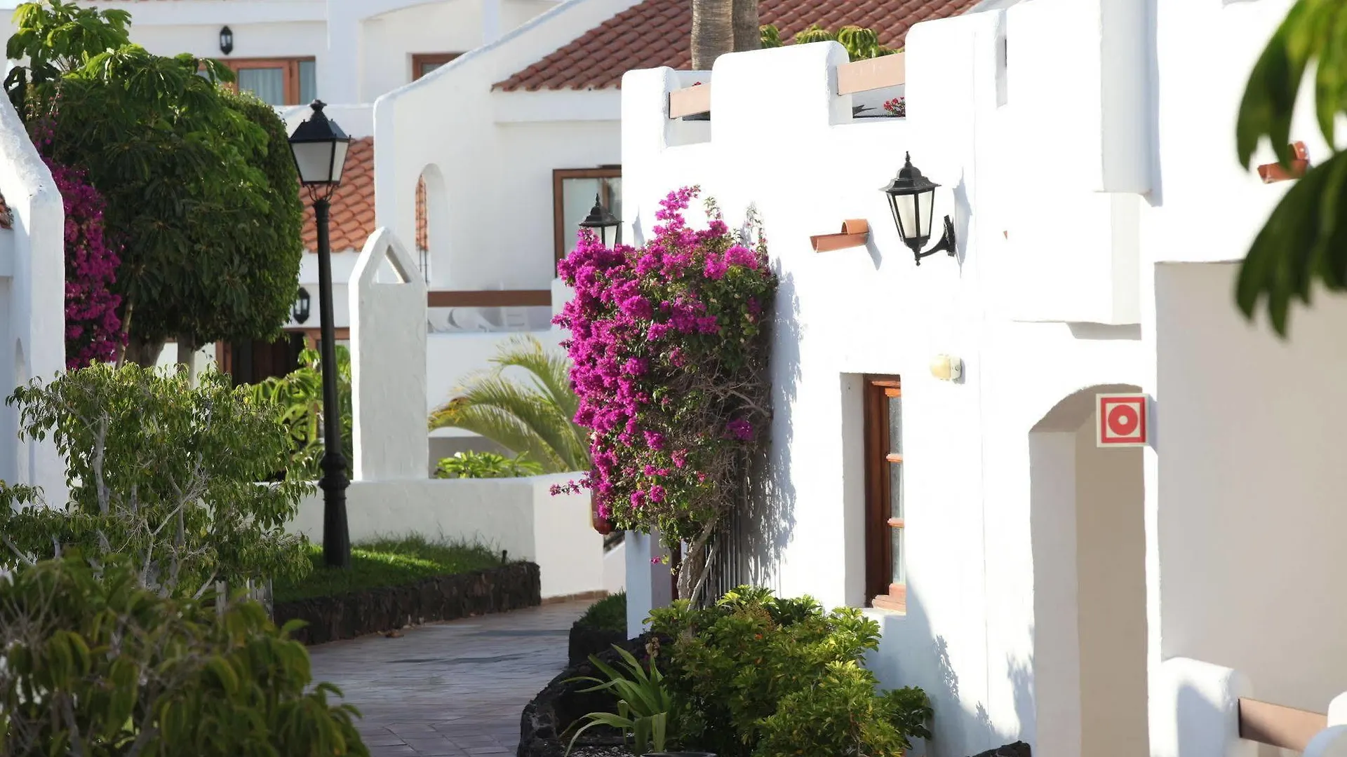 Beverly Hills Suites - Excel Hotels & Resorts Лос Кристианос